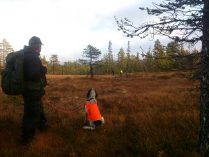 mms_img2901174341